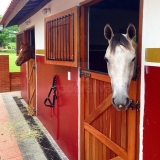 porta baia cavalo orçar Manaus